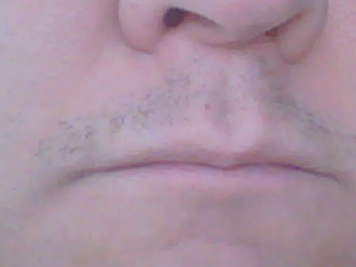 Illustration for article titled Modeck Movember: Day 7